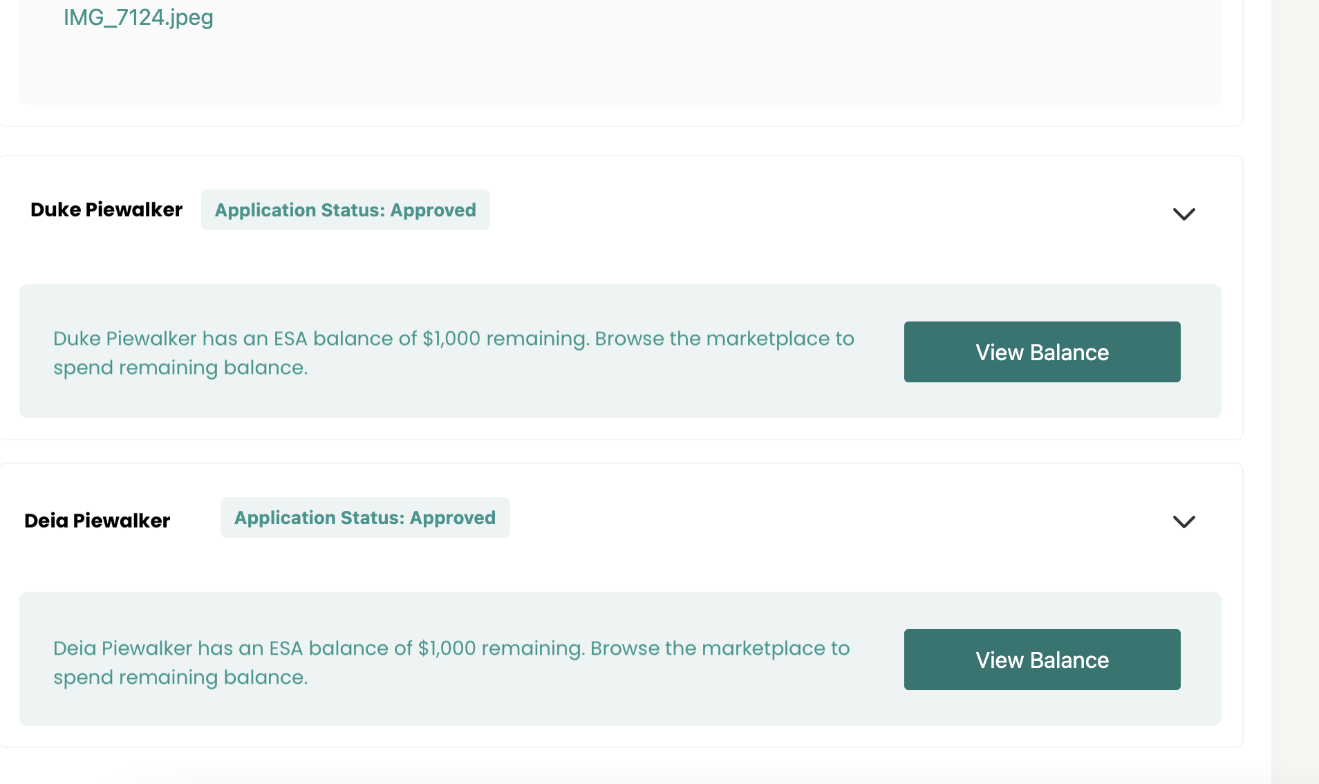 Screenshot 2024-09-11 at 12.48.58 PM.png